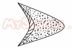Name the feature shown below